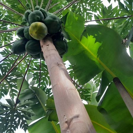فندق Splanada Poilon Assomada المظهر الخارجي الصورة