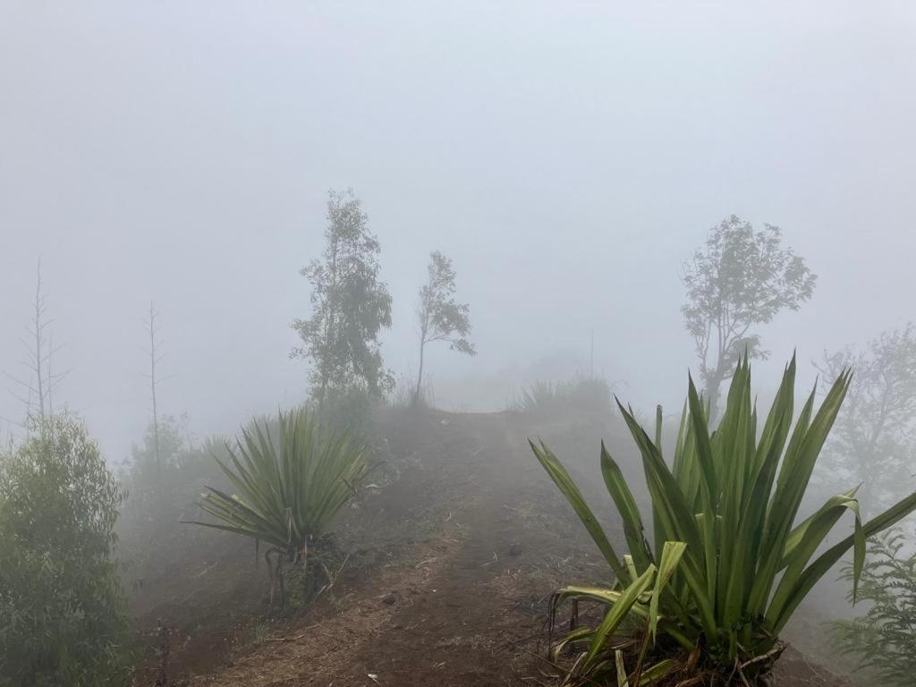 فندق Splanada Poilon Assomada المظهر الخارجي الصورة