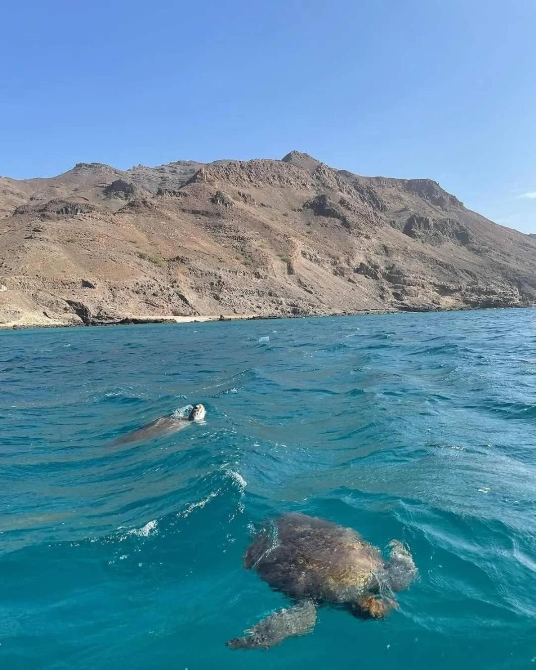 فندق Splanada Poilon Assomada المظهر الخارجي الصورة